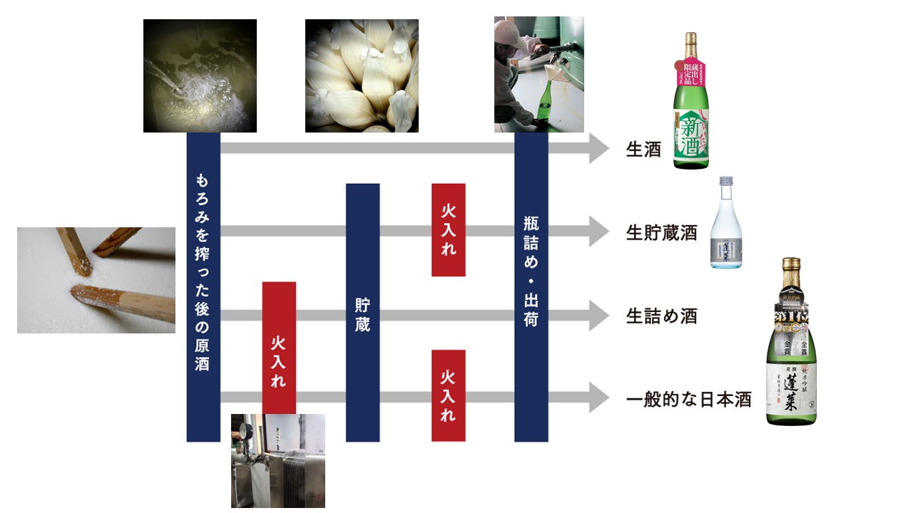 生酒ってどんなお酒？普通のお酒と何が違うのか？ 生詰めや生貯蔵との 