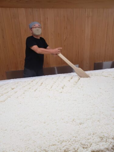 麴室での作業