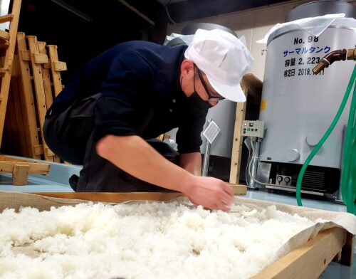 米麹を作る作業